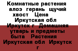 Комнатные растения: алоэ, герань, щучий хвост › Цена ­ 50 - Иркутская обл., Иркутск г. Домашняя утварь и предметы быта » Растения   . Иркутская обл.,Иркутск г.